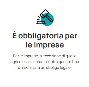 Libero professionista